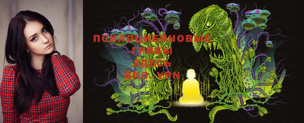PSILOCYBIN Арсеньев