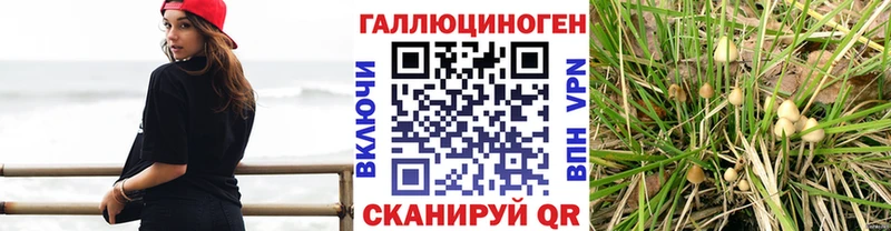 Псилоцибиновые грибы GOLDEN TEACHER Сретенск