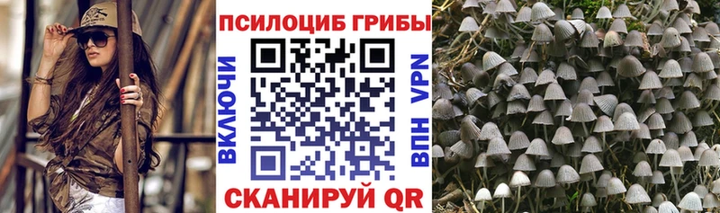 Псилоцибиновые грибы прущие грибы  купить наркоту  Сретенск 